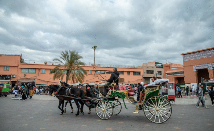8 Days Tour From Tangier