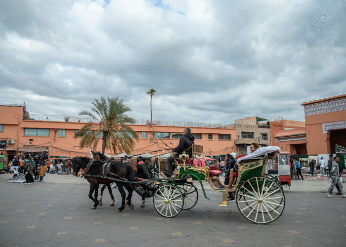 8 Days Tour From Tangier