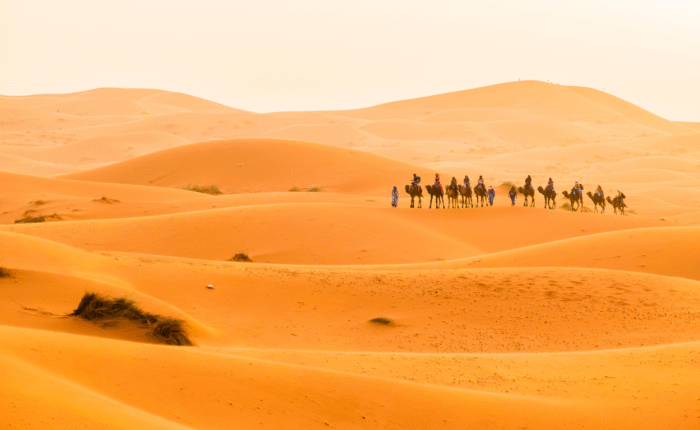 3 Days Desert Tour From Marrakech to Fes