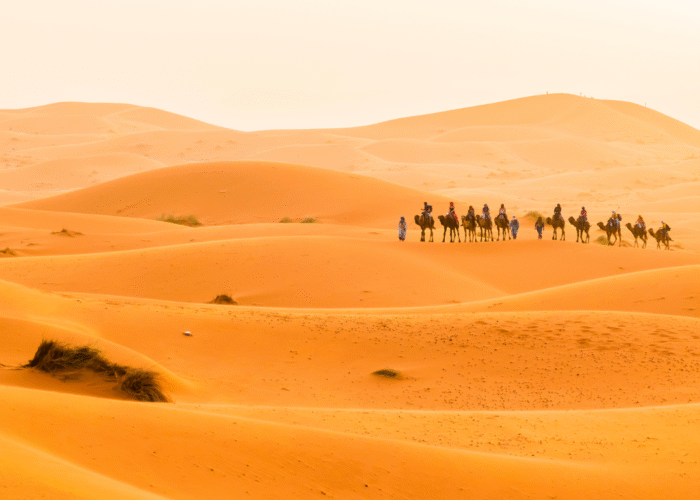 3 Days Desert Tour From Marrakech to Fes