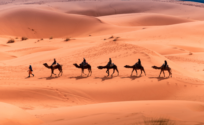 10 Days Tour From Tangier