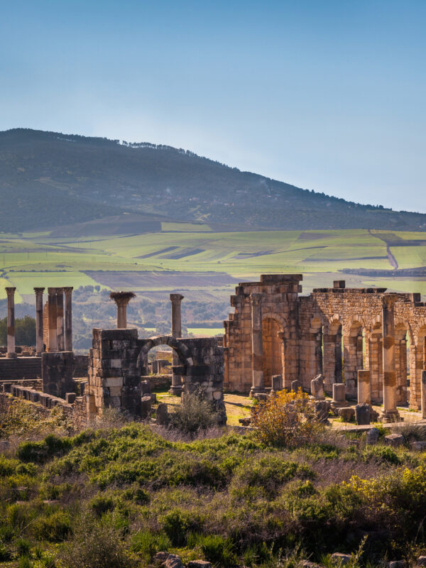 1 Day Trip From Fes To Meknes & Volubilis