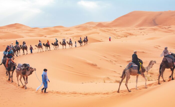 15 Days Desert Tour From Casablanca